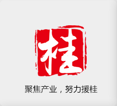 聚焦產(chǎn)業(yè)，努力援桂